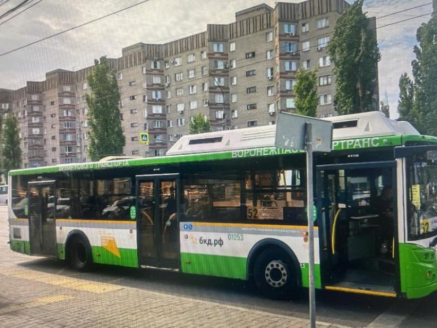 Травмирование четырёхлетнего пассажира проверят воронежские следователи 