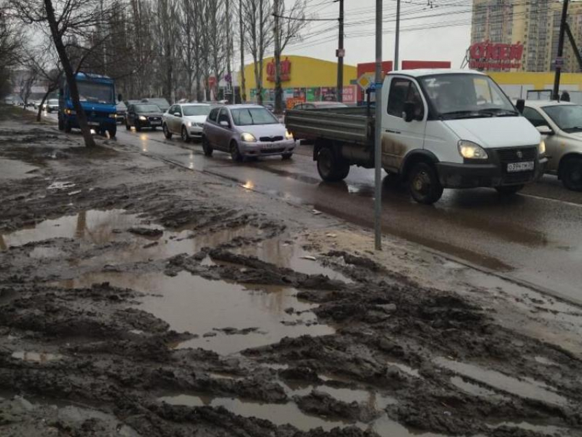 «Ядовитые» болота из грязи обнаружили прямо на автобусной остановке в Воронеже