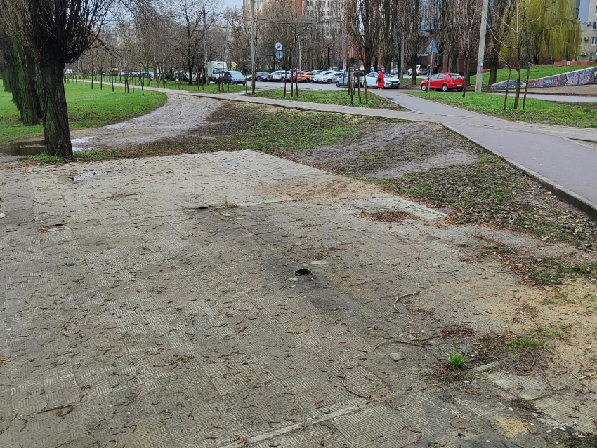 Произошло оглупение: с бульвара Победы в Воронеже пропала умная остановка 