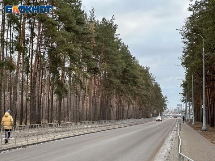 Трассу М-4 «Дон» будут расширять в Воронеже