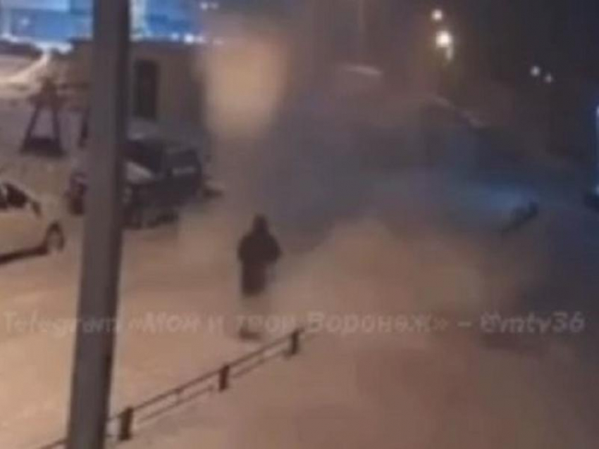 Момент падения снежной «лавины» на человека с собакой попал на видео в Воронеже