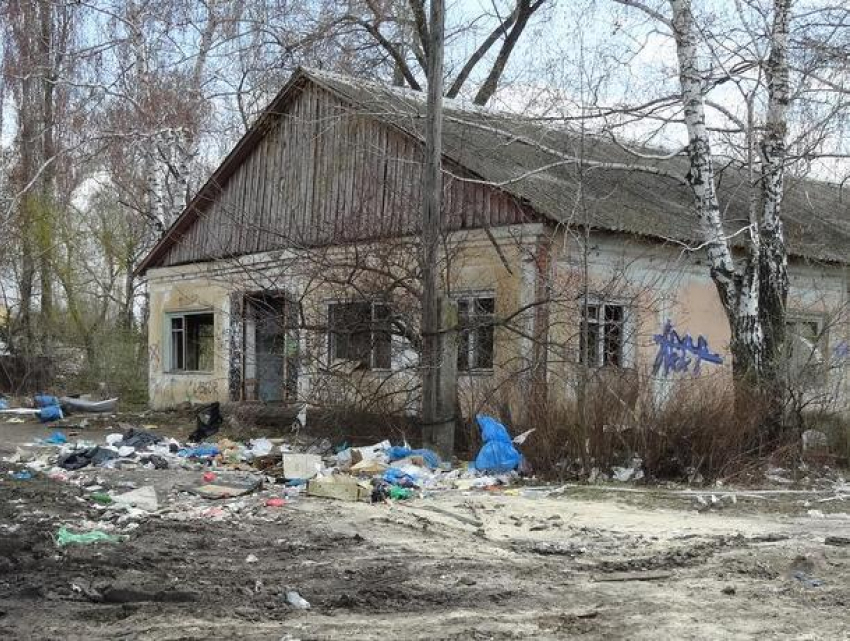 Очередной мусорный конгломерат сфотографировали в Воронеже 