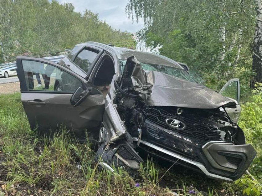 Мужчина погиб, врезавшись в дерево на воронежской дороге