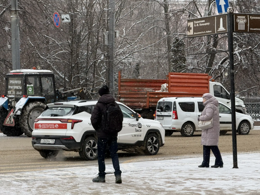 Чиновники нашли оправдание снежной каше в Воронеже 