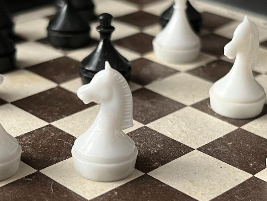 Воронежская область станет местом проведения шахматного Чемпионата в 2023 году