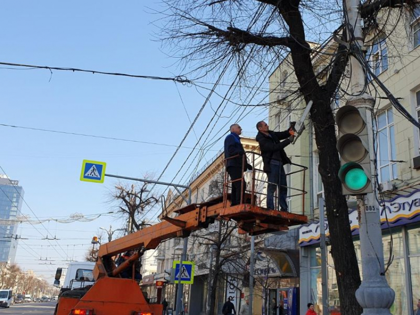 Деградирующие деревья спилили на проспекте Революции в Воронеже