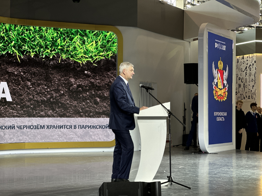 50 млн рублей собрали на Дне Воронежской области для одаренных детей 