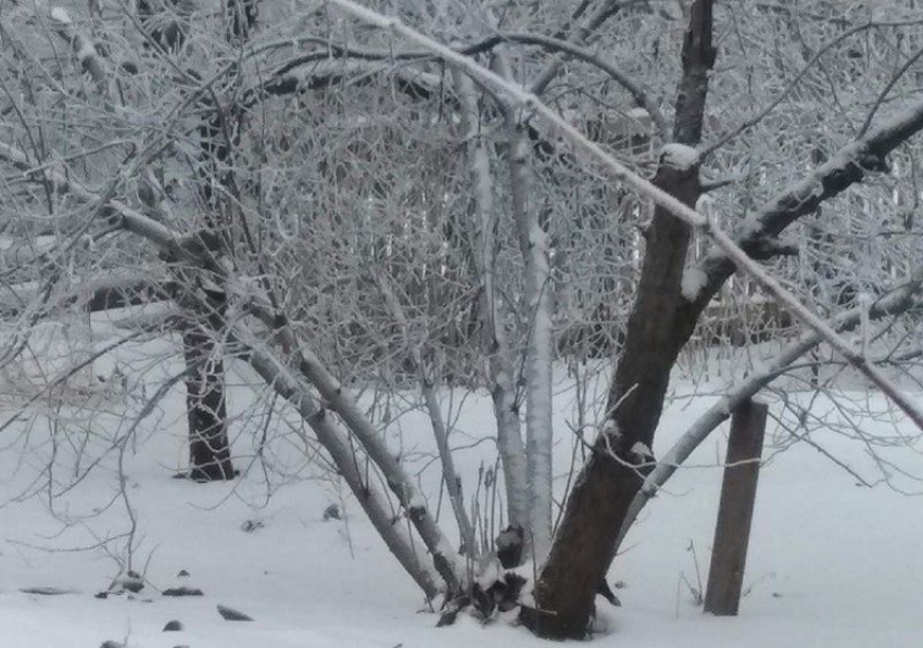 Снегопад, приправленный сильным ветром, надвигается на Воронеж