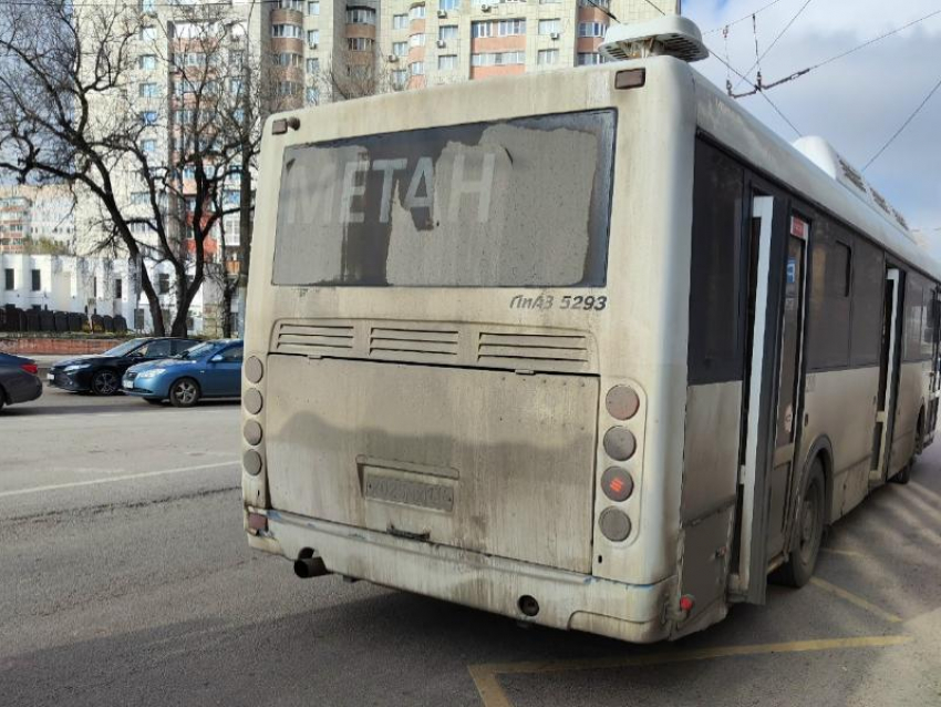 Мойдодыра на вас нет: воронежцы жалуются на состояние общественного транспорта