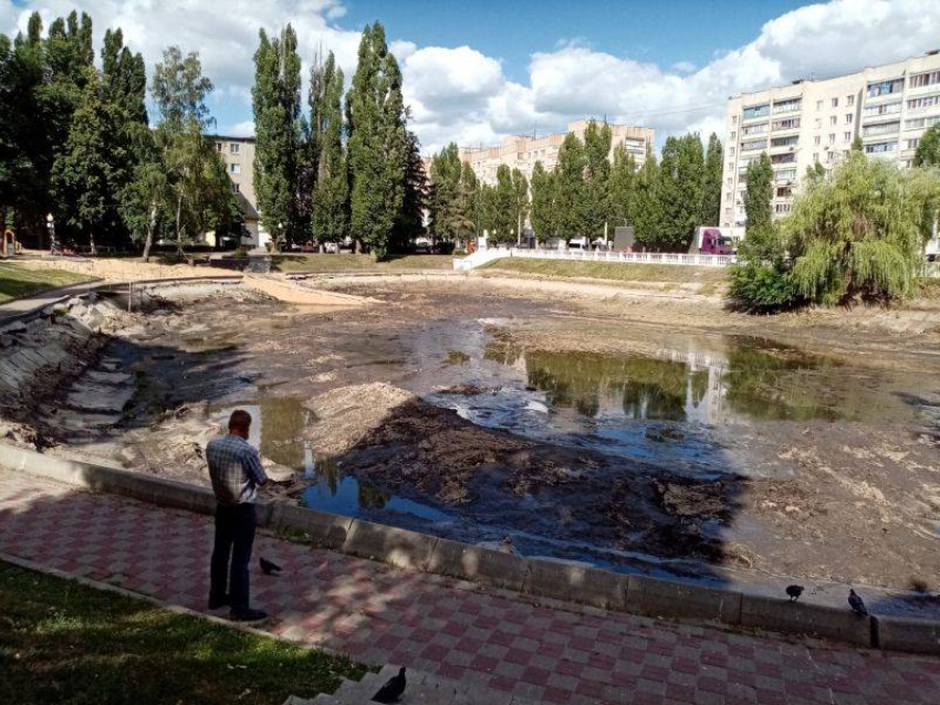 В 7 млн рублей оценили ремонт чаши озера на Минской в Воронеже