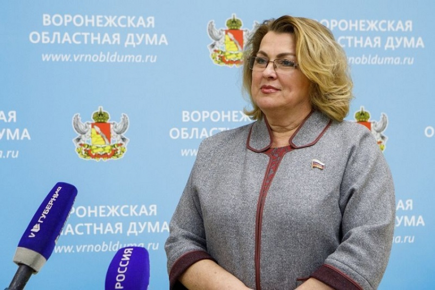 «Единая Россия» в облдуме приписала себе помощь многодетным семьям Воронежа