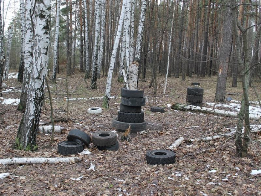 «Зеленый щит» Воронежа утопает в строительном мусоре 