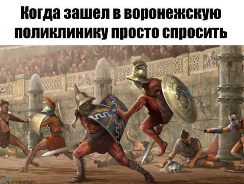 С битвой гладиаторов сравнили очереди в поликлиниках Воронежа