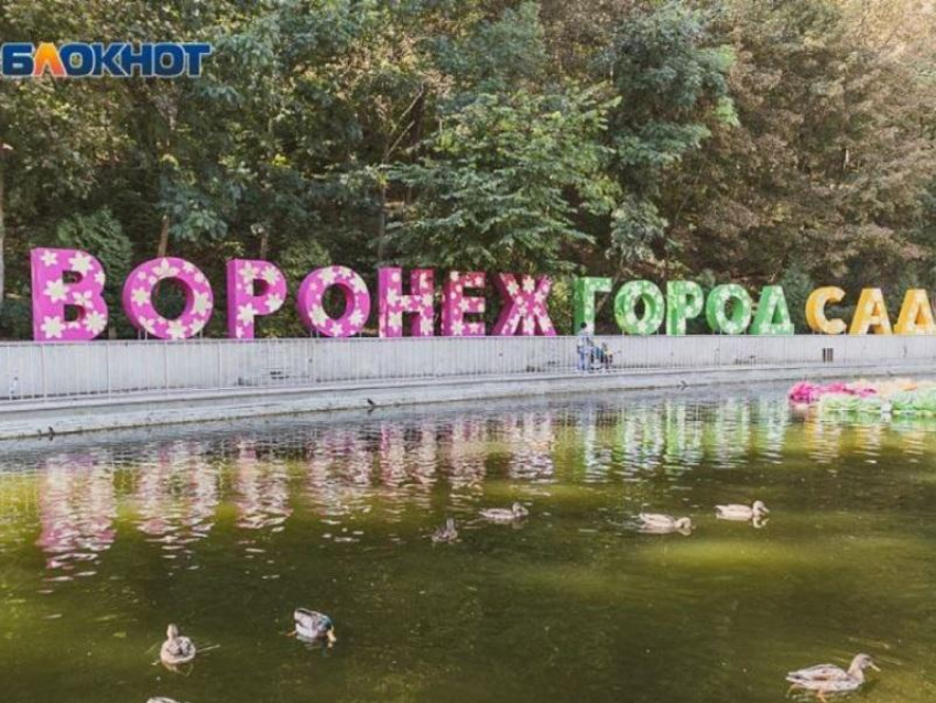 В Воронеже определились с местом проведения фестиваля «Город-сад»