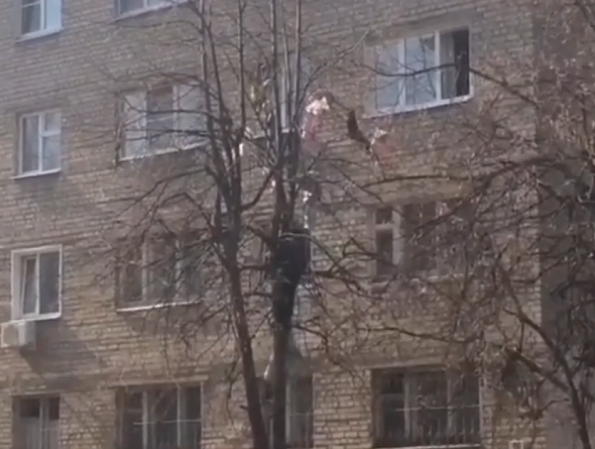 Воронежского супермена засняли на видео