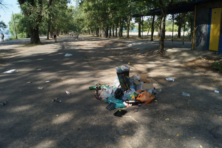 Воронежцы уберут берег водохранилища в рамках областной экологической акции