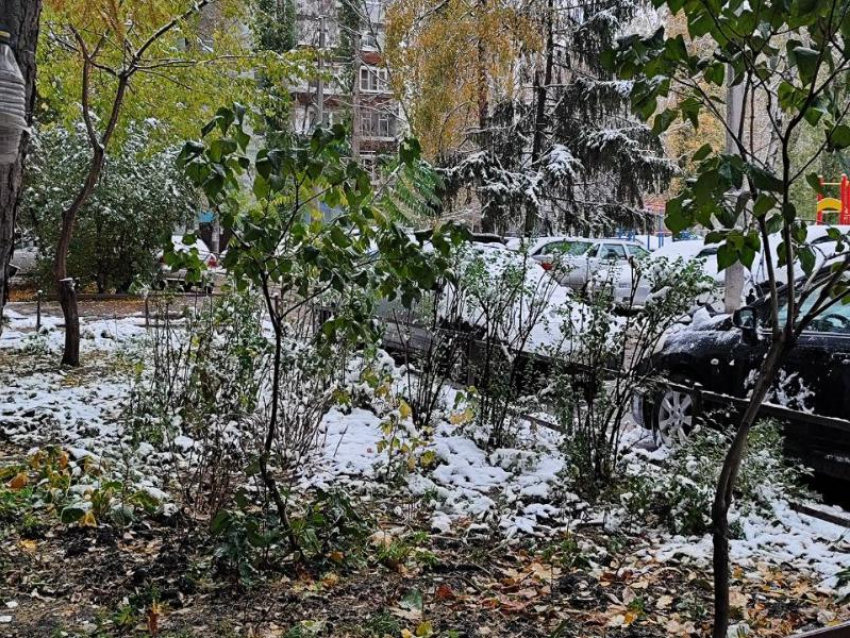 Ждать ли снега на Новый год в Воронеже, рассказал главный метеоролог региона 