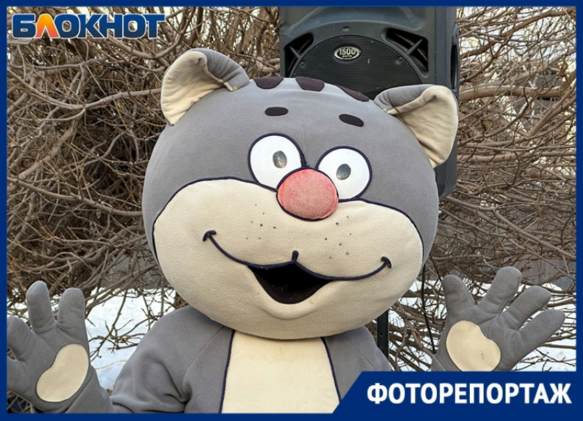 День рождения одного из самых известных кошачьих памятников отметили в Воронеже