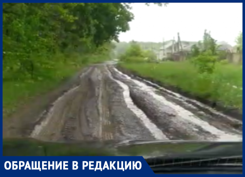 Грязные дети и чистоплотные таксисты: автомобилист рассказал о дорожном аде под Воронежем 