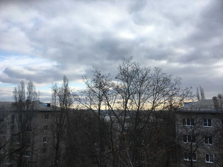 Желтый уровень опасности объявили в Воронежской области из-за погоды