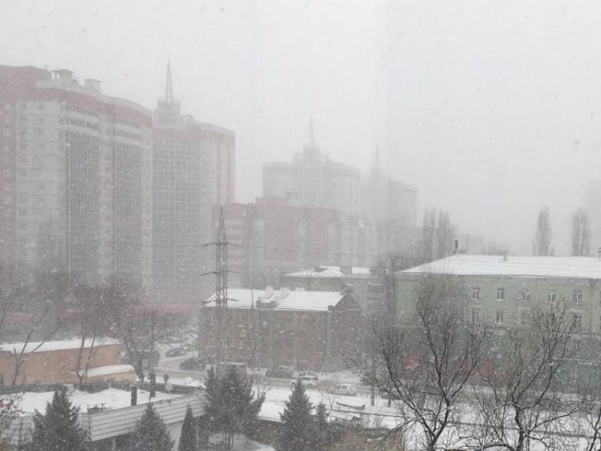 Аномально-весенний снегопад накрыл Воронеж