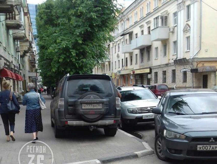 Отвязный способ обхода платных парковок предложили в Воронеже