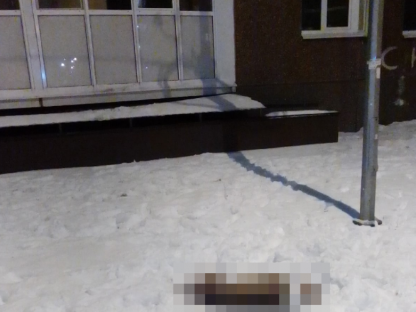  Воронежцы сообщили о выброшенной из окна дома собаке 