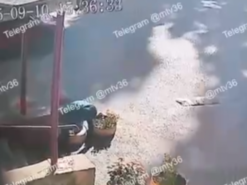 Странный «дачник» разнёс клумбу у подъезда в Воронеже