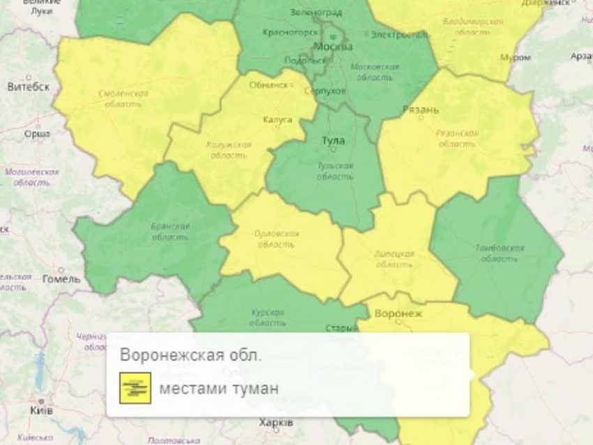 Желтый уровень опасности объявили в Воронеже из-за погоды