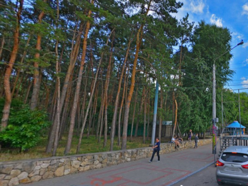 Современный городской парк: как будет выглядеть обновленный «Танаис», рассказали в мэрии Воронежа