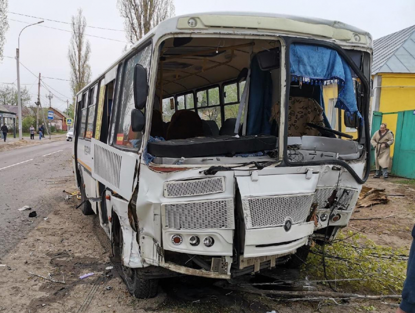 Пассажиров «Пазика» госпитализировали после ДТП с Renault и деревом в Воронеже