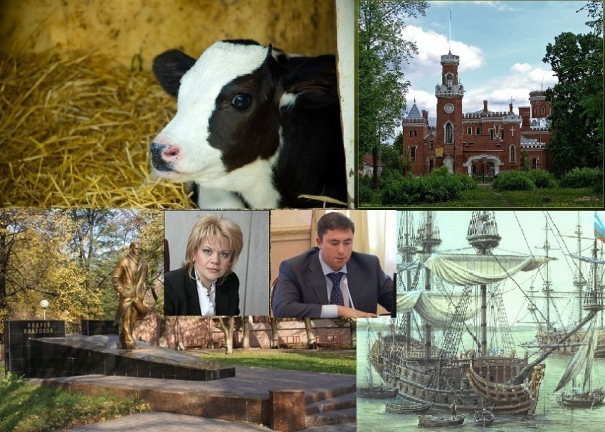 Максим Увайдов перехватил у Елены Ищенко кураторство над созданием бренда Воронежской области