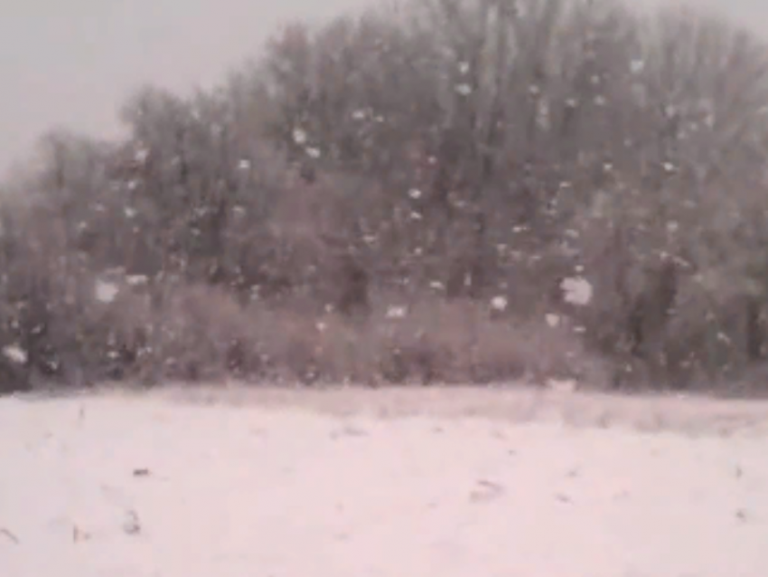 Заваленное апрельским снегом село показали под Воронежем 