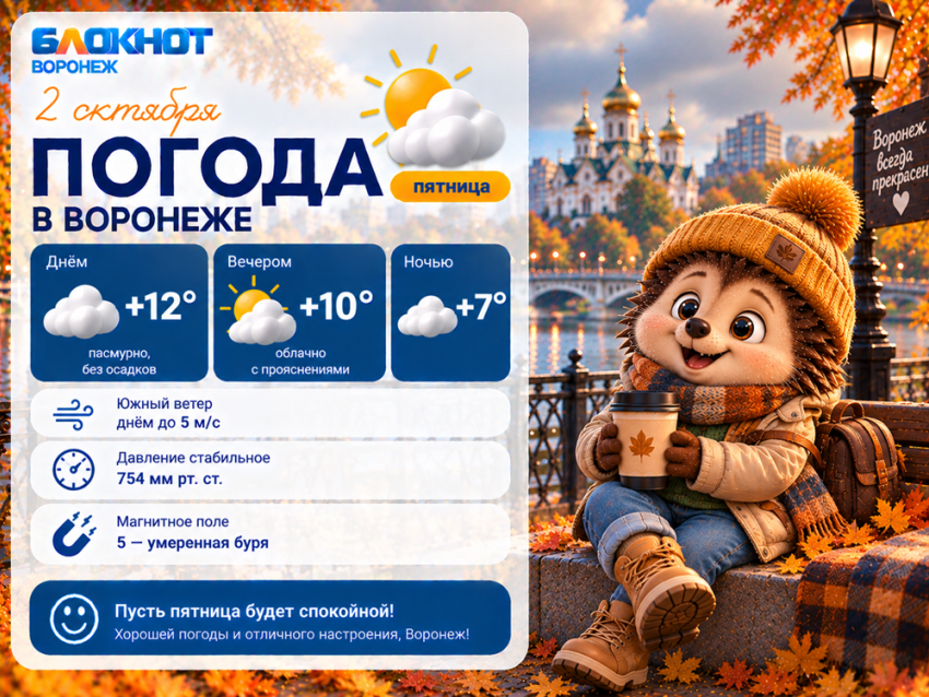 Воронежцев предупредили о неспокойном магнитном фоне и похолодании