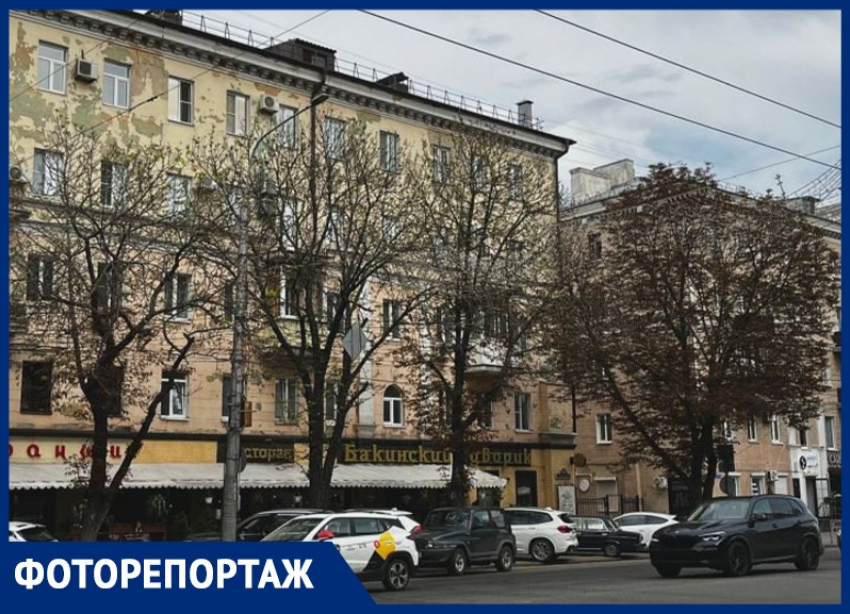 Как выглядят умирающие каштановые аллеи на Плехановской в центре Воронежа