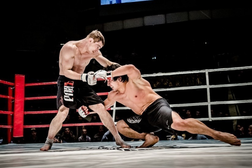 В Воронеже пройдет второй международный турнир по смешанным единоборствам FIGHT RIOT