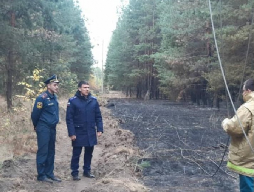 Прокуратура назвала причину пожара, уничтожившего 50 домов в Воронежской области