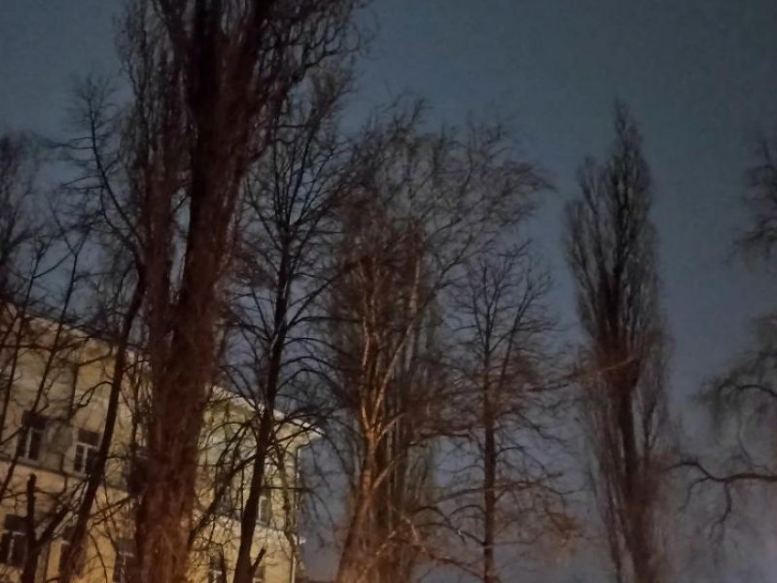 Силы ПВО уничтожили украинский беспилотник самолетного типа в Воронежской области