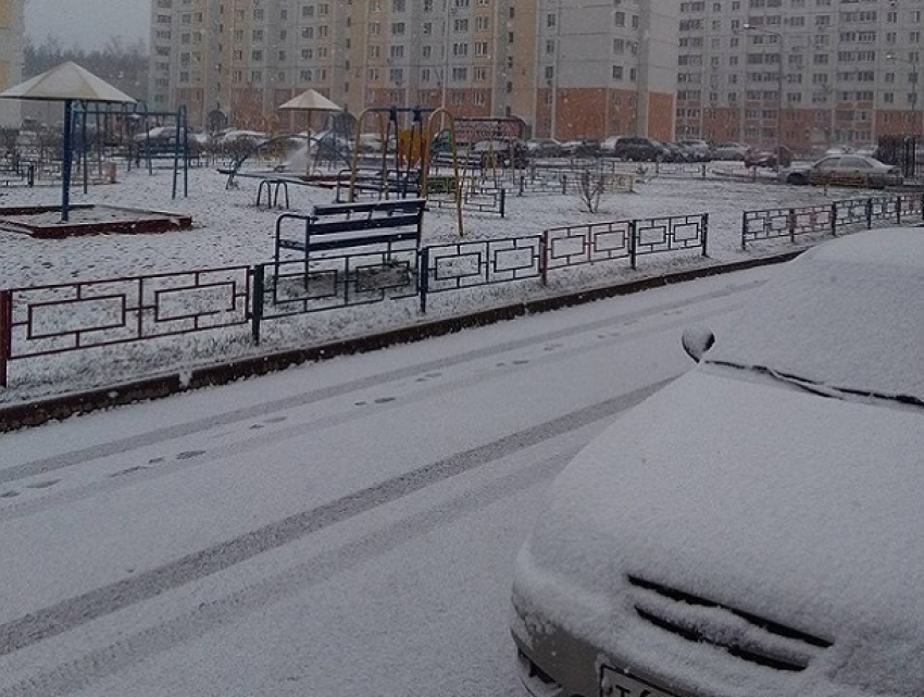 Пользователи завалили Instagram снимками сильнейшего снегопада в Воронеже  