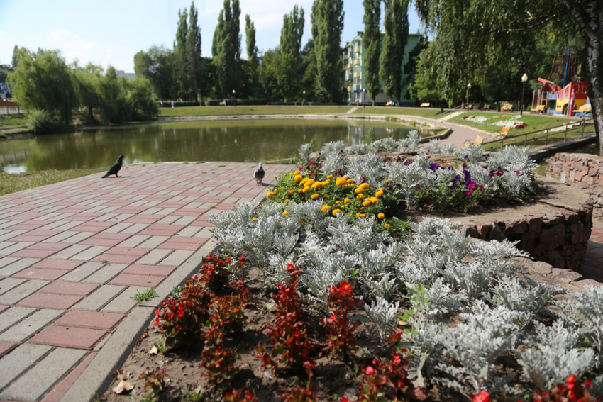 В Воронеже началась реконструкция сквера у «Лебединого озера"