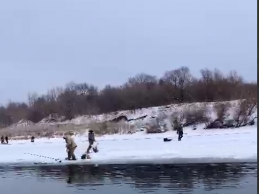 В опасную ловушку массово попали рыбаки под Воронежем – опубликовано видео 