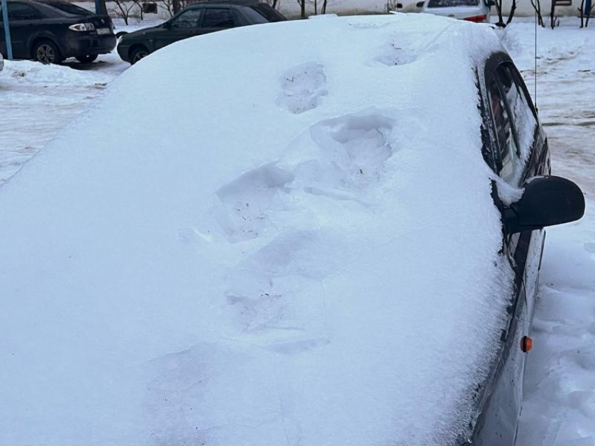 Детская шалость с авто обернулась гневной тирадой в Воронежской области 