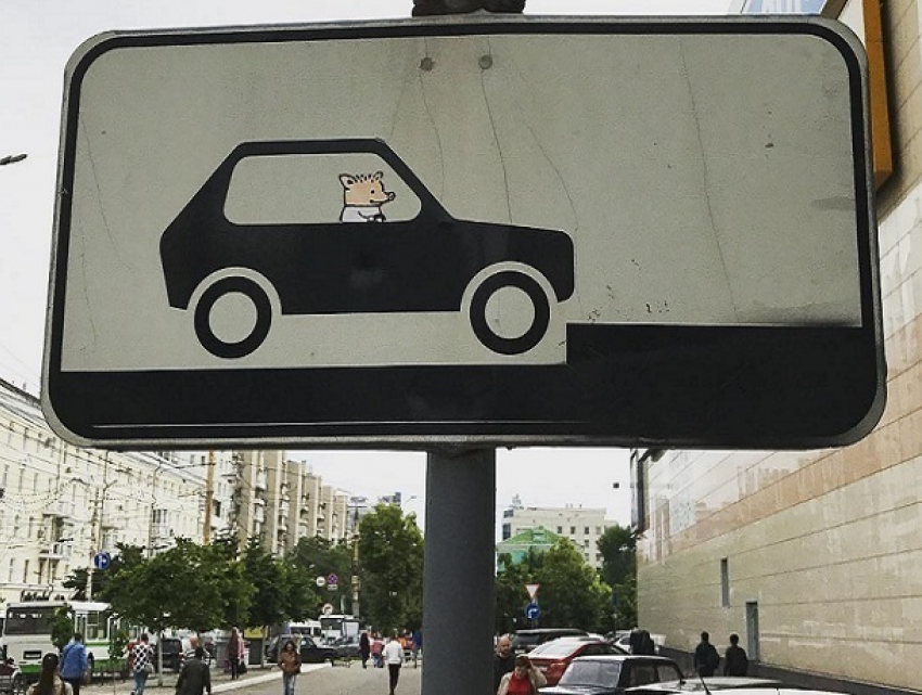 В Воронеже появился дорожный знак со свиньей-водителем
