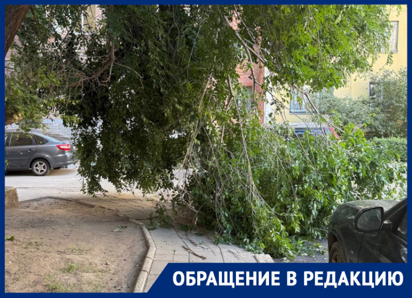 Всем по барабану: ГЖИ и ТСЖ решили рискнуть здоровьем жителей Воронежа