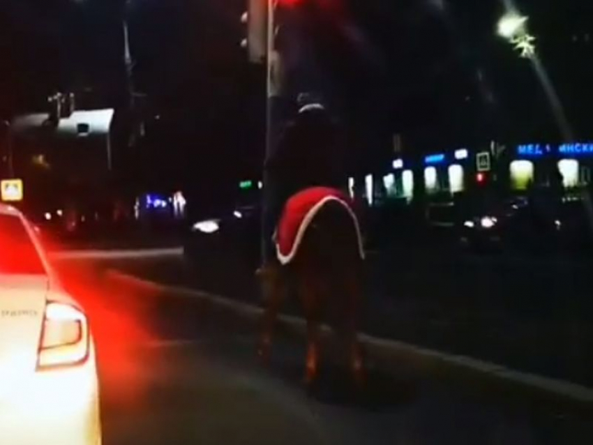 Ночного всадника на коне с попоной воронежцы сняли на видео