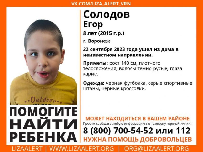Восьмилетний мальчик  пропал в Воронеже