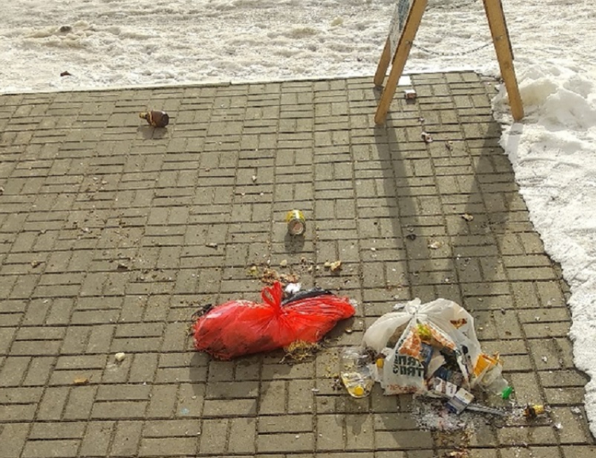 На атаку мусора пожаловались воронежцы