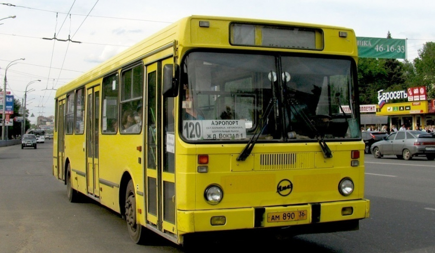 В Воронеже запустят 5 новых автобусных маршрутов в аэропорт