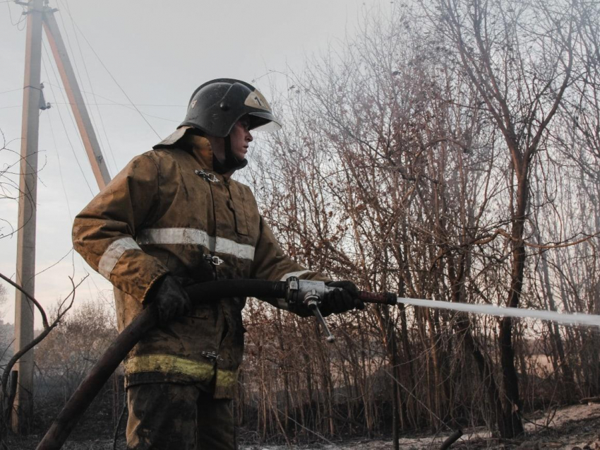 Воронежца осудили за поджог домов «горячей» осенью 2020-го
