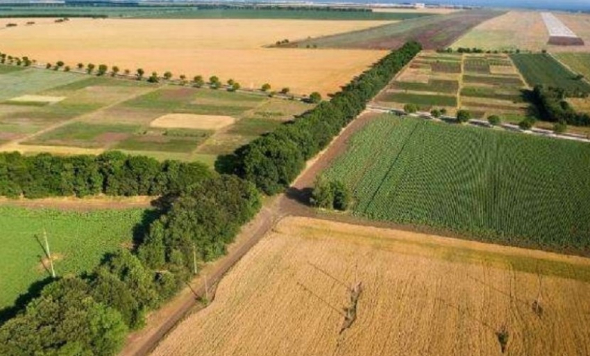 Земельные доли - «яблоко раздора» оборота земель сельскохозяйственного назначения